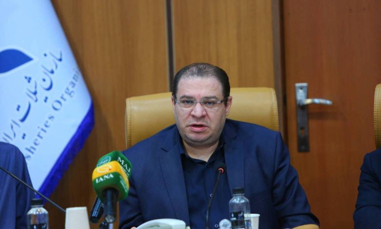 محمد گلزاری دبیر شورای اطلاع‌رسانی دولت