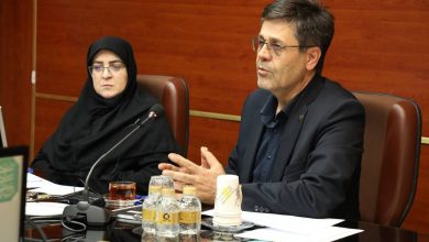 محمد اله‌داد، مدیرعامل شرکت توانیر