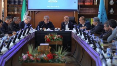 احمد میدری، وزیر تعاون، کار و رفاه اجتماعی