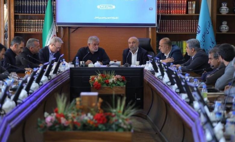 احمد میدری، وزیر تعاون، کار و رفاه اجتماعی