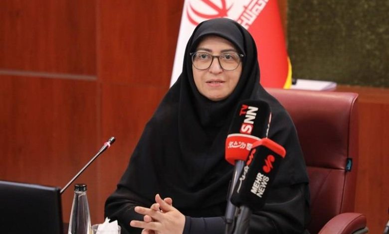 شینا انصاری رئیس سازمان حفاظت محیط زیست