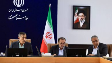 نشست معاون اجرایی رئیسجمهور