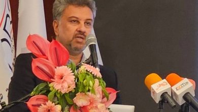 مصطفی رجبیمشهدی، معاون برق و انرژی وزارت نیرو