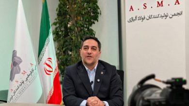 مهدی محمدی رئیس انجمن تولیدکنندگان فولاد آلیاژی
