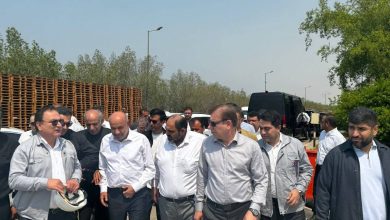 احمد میدری، وزیر تعاون، کار و رفاه اجتماعی