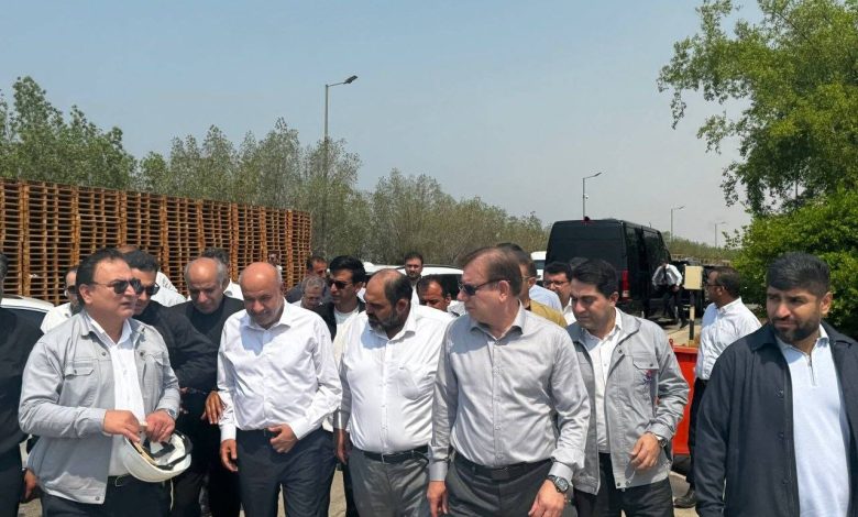 احمد میدری، وزیر تعاون، کار و رفاه اجتماعی