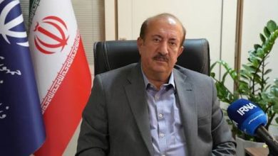 عزتالله زارعی، سخنگوی وزارت صنعت، معدن و تجارت