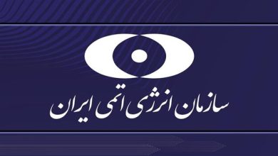 سازمان انرژی اتمی ایران