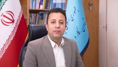 معاون رفاه و امور اقتصادی وزارت تعاون