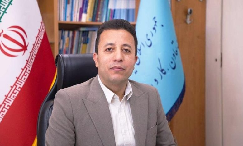 معاون رفاه و امور اقتصادی وزارت تعاون