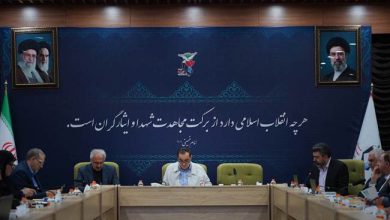 لزوم تمرکز زدایی در اجرای طرح مدیریت مورد