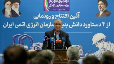 محمد اسلامی، معاون رئیس‌جمهور و رئیس سازمان انرژی اتمی