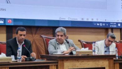 مقیمی ، افق و اقتصاد