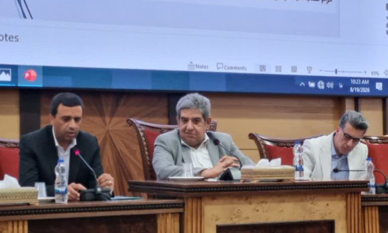 مقیمی ، افق و اقتصاد