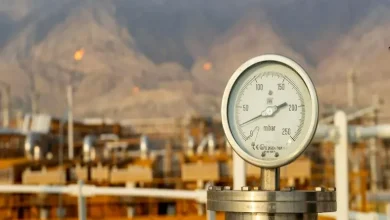 شرکت ملی صنایع پتروشیمی