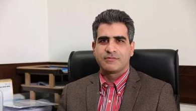 معاون توسعه شرکت برق حرارتی