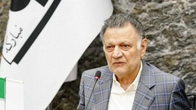 محمدحسن عرفانیان، بنیان‌گذار و مجری طرح فولاد مبارکه