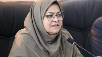 فرزانه انصاری رئیس سازمان ملی استاندارد ایران