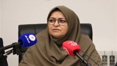فرزانه انصاری، رئیس سازمان ملی استاندارد ایران