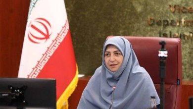 شینا انصاری معاون رئیس‌جمهور و رئیس سازمان حفاظت محیط زیست
