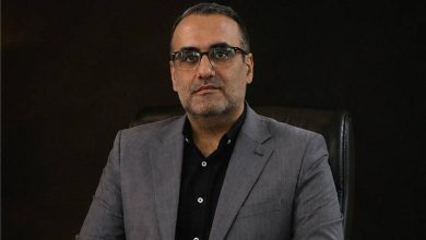 مجتبی حمیدیان مدیرعامل گروه سرمایه‌گذاری سپهر صادرات