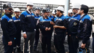 مدیران ارشد هلدینگ انرژی سینا از کارخانه دوده فام بازدید کردند