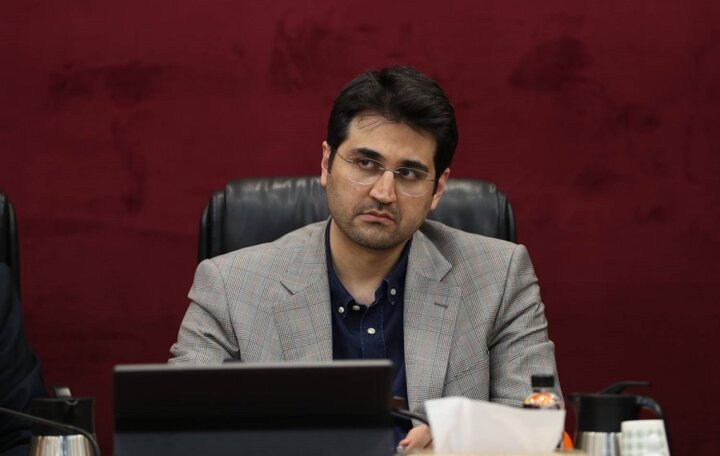 سیدمحمدهادی سبحانیان، رئیس کل سازمان امور مالیاتی